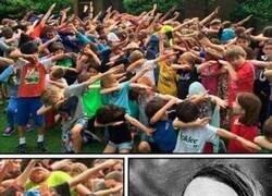 Enlace a A contracorriente