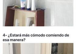 Enlace a Surrealistas imágenes que demuestran que los gatos también tienen sus propias manías