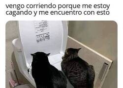 Enlace a La madre que los parió...