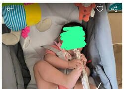 Enlace a Inseminador profesional