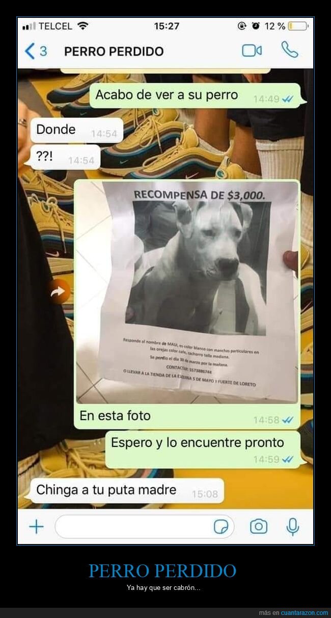 perro,perdido,ver,cartel