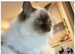 Enlace a Los baños no le sientan demasiado bien