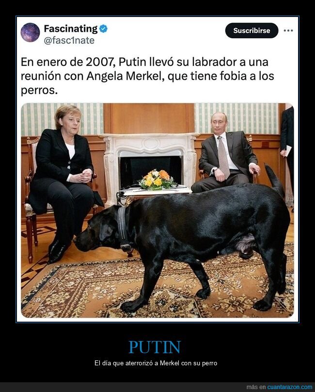 merkel,perros,políticos,putin