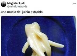 Enlace a La muela del juicio final