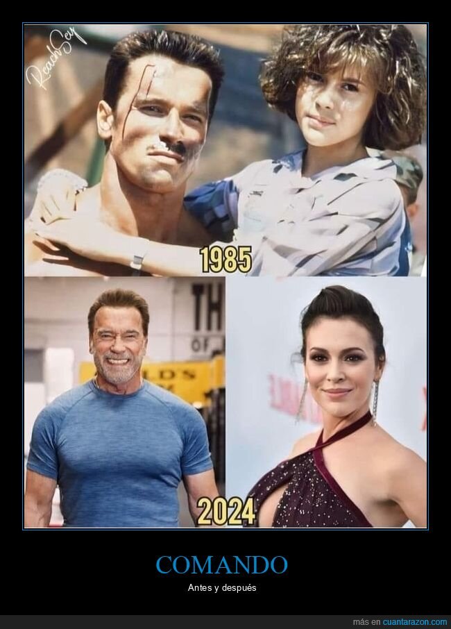 alyssa milano,antes,cine,comando,después,schwarzenegger