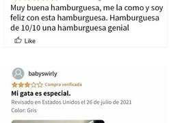 Enlace a Personas que triunfaron en internet con sus divertidas reseñas