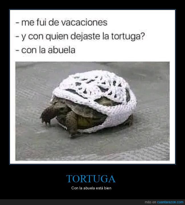 tortuga,vacaciones,abuela