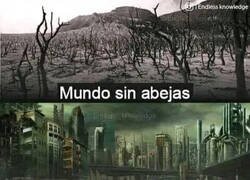 Enlace a Hay cosas necesarias y cosas que sobran en el mundo