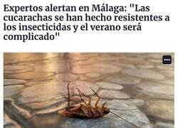 Enlace a Cada vez más difíciles de matar