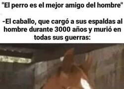 Enlace a ¿El mejor amigo del hombre?