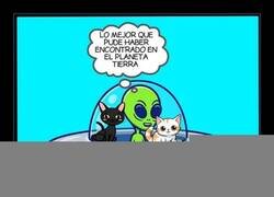 Enlace a Llevándose un par de recuerdos a su planeta