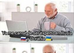 Enlace a Surgen nuevos expertos