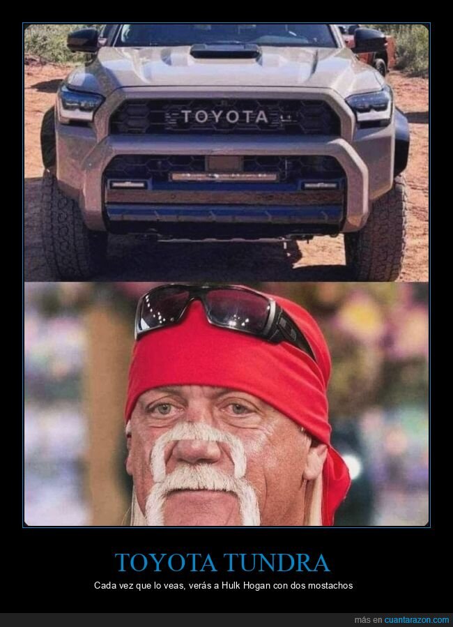 toyota tundra,hulk hogan,bigotes,parecidos