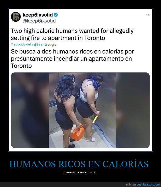 gordas,humanos ricos en calorías,wtf