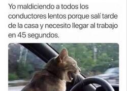 Enlace a Malditos conductores lentos...