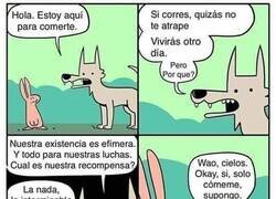 Enlace a Cazador implacable