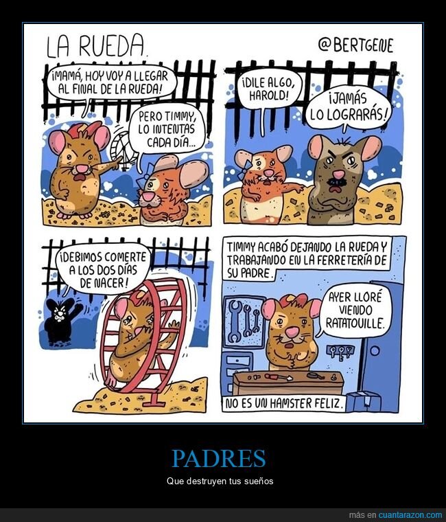 feliz,hámsters,rueda,trabajo,padres