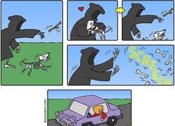 Enlace a A la muerte también le pasan cosas malas