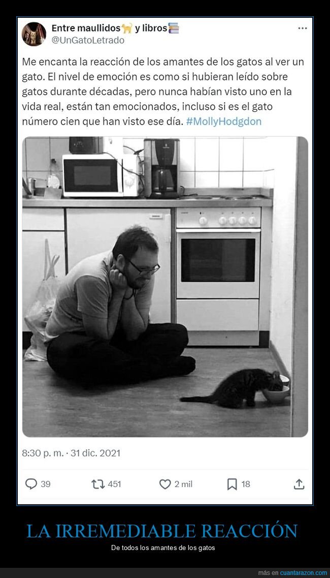 reacción,amantes,gatos