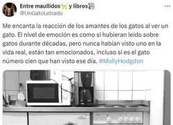 Enlace a Amante de los gatos promedio