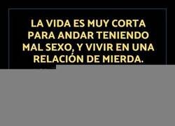 Enlace a La vida está para vivirla bien