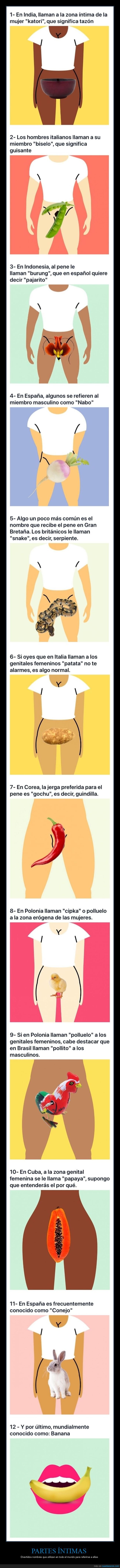 partes íntimas,nombres