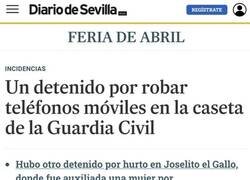 Enlace a Un ladrón poco inteligente