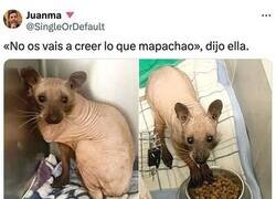 Enlace a Cosas que pasan