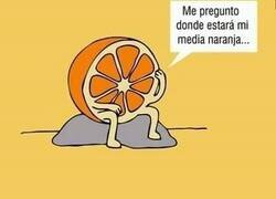 Enlace a Esperando a su media naranja