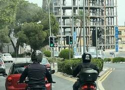 Enlace a Esto no se ve a menudo