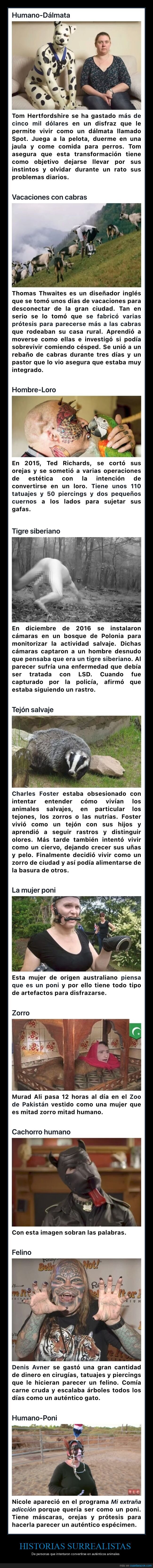 personas,convertirse,animales