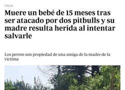 Enlace a Reflexión perruna