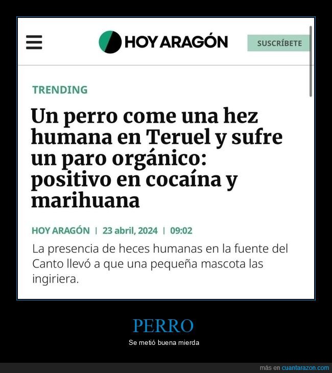 perro,hez,droga
