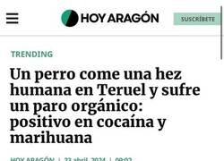 Enlace a Cosas que pasan en Teruel