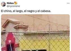 Enlace a Apodador profesional