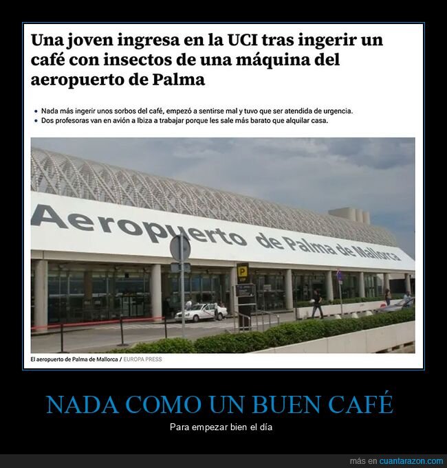 aeropuerto,café,insectos,uci,wtf