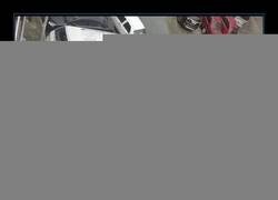 Enlace a La madre que los parió...