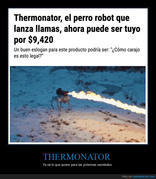 perro robot,thermonator,wtf