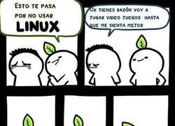 Enlace a Consejo de linuxero