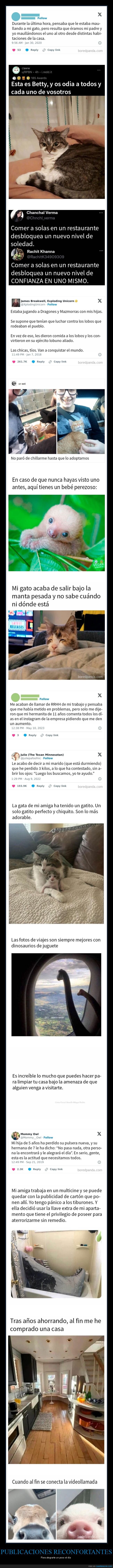 publicaciones reconfortantes