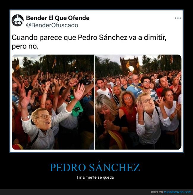 pedro sánchez,dimitir,políticos