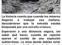 Enlace a Historias paranormales que están extrañamente conectadas con famosos desastres naturales