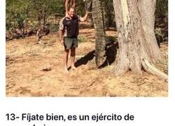 Enlace a Imágenes que demuestran que Australia puede ser una trampa mortal