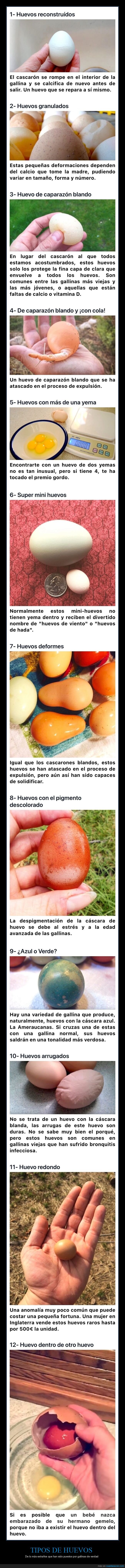 huevos,tipos,extraños