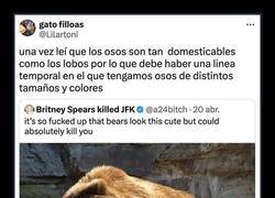 Enlace a Imagina esa línea temporal