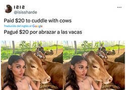 Enlace a Un dinero bien gastado