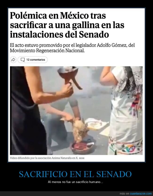 gallina,méxico,sacrificio,senado