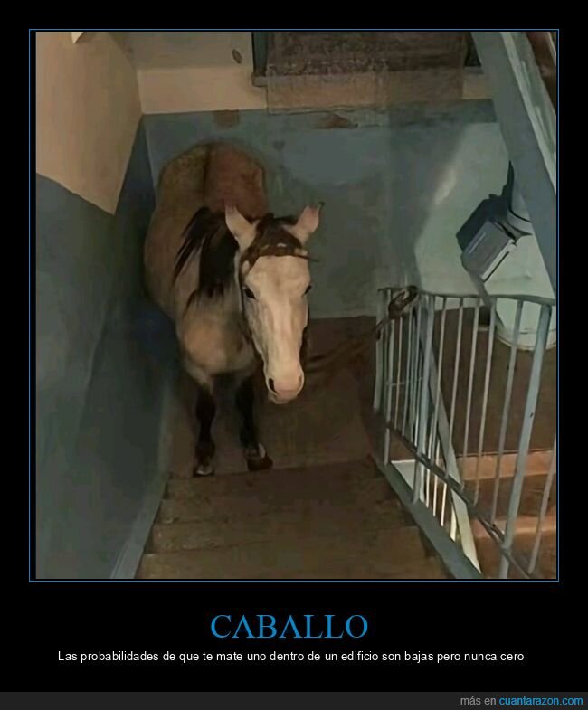 caballo,escaleras,rellano,wtf
