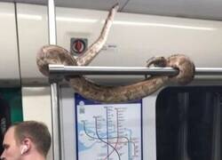 Enlace a Todo normal por aquí