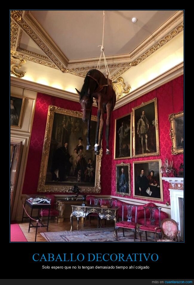 caballo,colgado,wtf